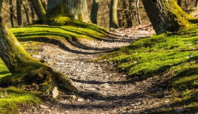 Wanderwege